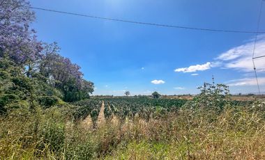 Se construye bodega 500 o 1000 m2 en Atlixco, Puebla