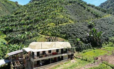 Venta Finca Cafetera y Ganadera Santa Rita Andes Antioquia