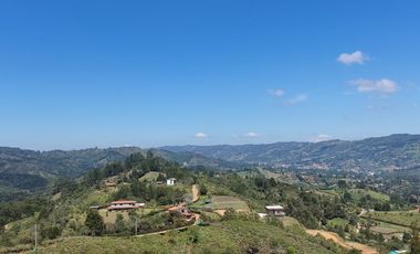 Lotes Campestres tunel de oriente llanogrande rionegro