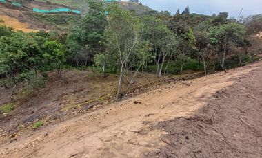 Lotes Campestres tunel de oriente llanogrande rionegro