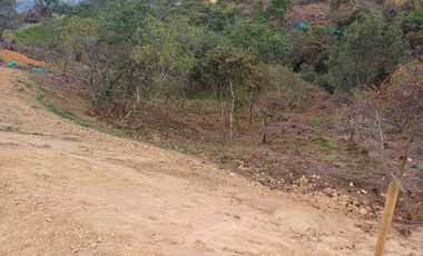 Lotes Campestres tunel de oriente llanogrande rionegro