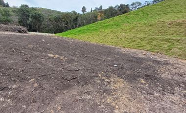 Lotes Campestres tunel de oriente llanogrande rionegro