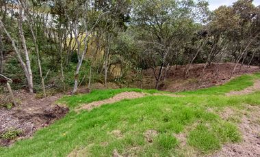 Lotes Campestres tunel de oriente llanogrande rionegro