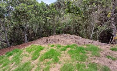 Lotes Campestres tunel de oriente llanogrande rionegro