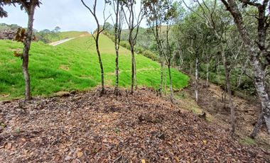 Lotes Campestres tunel de oriente llanogrande rionegro