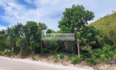 Commercial Lot for Sale located in Song-on, Loon, Bohol