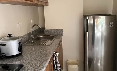 for rent brand new 1 bedroom condo in Midpoint Residences Mandaye Cebu