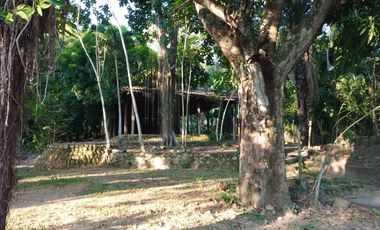 Ocasion Terreno En Venta Ex Alojamiento La Jungla