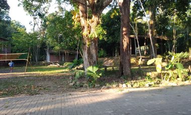 Ocasion Terreno En Venta Ex Alojamiento La Jungla