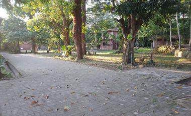Ocasion Terreno En Venta Ex Alojamiento La Jungla