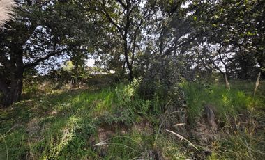 Venta de Terreno en Rancho San Juan