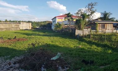 For Sale: 4,069sqm 33k/sqm Income Generating Property in Tayud Liloan