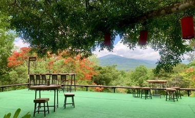 Land for sale 53 rai 2 ngan on a mountain view , Mae Ram , Mae Rim , Chiang Mai