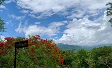 Land for sale 53 rai 2 ngan on a mountain view , Mae Ram , Mae Rim , Chiang Mai