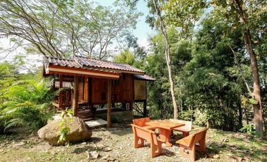 Land for sale 53 rai 2 ngan on a mountain view , Mae Ram , Mae Rim , Chiang Mai