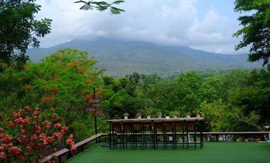 Land for sale 53 rai 2 ngan on a mountain view , Mae Ram , Mae Rim , Chiang Mai