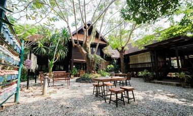 Land for sale 53 rai 2 ngan on a mountain view , Mae Ram , Mae Rim , Chiang Mai