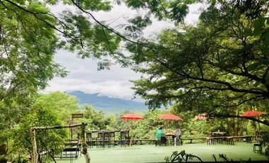 Land for sale 53 rai 2 ngan on a mountain view , Mae Ram , Mae Rim , Chiang Mai