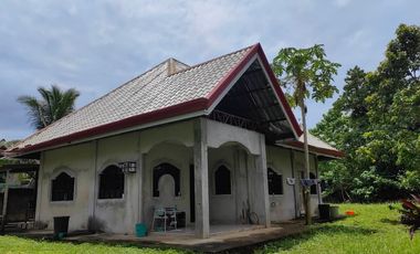 Unfinished House & Lot for Sale located in Bingag, Dauis,  Panglao Island, Bohol