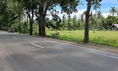 Titled Farm Lot For Sale Along the Hiway in Tuburan, Cebu