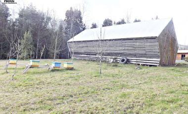 EN VENTA AMPLIA CASA CON CABAÑA Y GALPON EN PARCELA