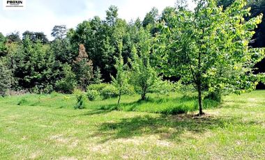 EN VENTA AMPLIA CASA CON CABAÑA Y GALPON EN PARCELA