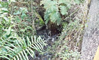 EN VENTA AMPLIA CASA CON CABAÑA Y GALPON EN PARCELA