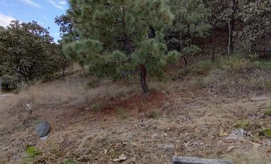Terreno en Venta, Fracc. Diana Natura en La Venta del Astillero, Zapopan Jal.