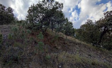 Terreno en Venta, Fracc. Diana Natura en La Venta del Astillero, Zapopan Jal.