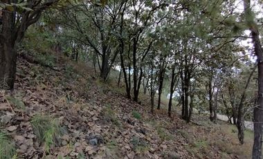 Terreno en Venta, Fracc. Diana Natura en La Venta del Astillero, Zapopan Jal.
