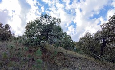 Terreno en Venta, Fracc. Diana Natura en La Venta del Astillero, Zapopan Jal.