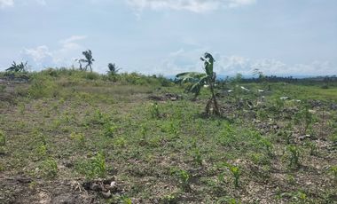 5 Years to Pay Straight Monthly Payment Residential Lots For Sale in Ronda, Cebu