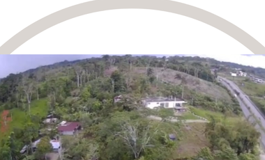 SE VENDE GRANJA PORCINA CON CAPACIDAD DE CRIANZA DE 100 CERDOS, EN VÍA PUERTO NAPO - ECUADOR