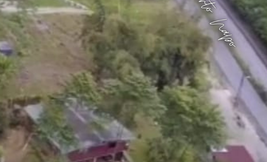 SE VENDE GRANJA PORCINA CON CAPACIDAD DE CRIANZA DE 100 CERDOS, EN VÍA PUERTO NAPO - ECUADOR