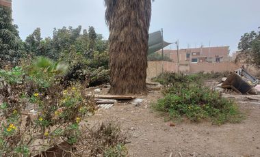 OCASIÓN LINDO TERRENO MUY CERCA DE LA PANAMERICANA NORTE