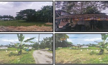 COMMERCIAL/ RESIDENTIAL LOT in Brgy. Bulilan Norte, Pila, Laguna