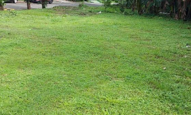 418 sqm Vacant Lot for Sale in Don Jose Heights Subdivison, Quezon City