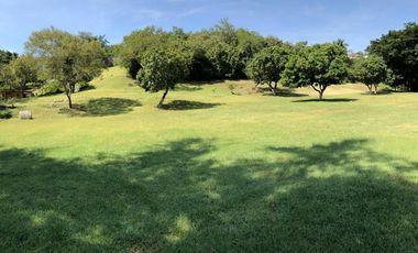 $12,000,000 Negociable, Un rancho en orilla de la careterra, Alpuyeca, Cerca del Prámide de Xochicalco con 11,352 m2 de tarreno furutal