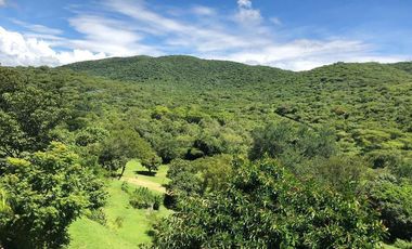 $12,000,000 Negociable, Un rancho en orilla de la careterra, Alpuyeca, Cerca del Prámide de Xochicalco con 11,352 m2 de tarreno furutal