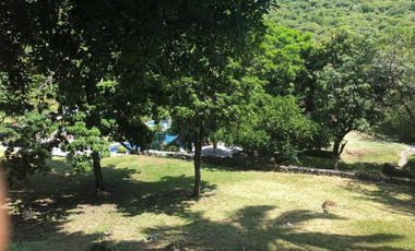 $12,000,000 Negociable, Un rancho en orilla de la careterra, Alpuyeca, Cerca del Prámide de Xochicalco con 11,352 m2 de tarreno furutal
