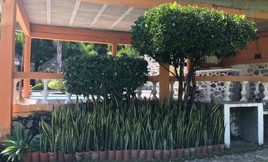 $12,000,000 Negociable, Un rancho en orilla de la careterra, Alpuyeca, Cerca del Prámide de Xochicalco con 11,352 m2 de tarreno furutal