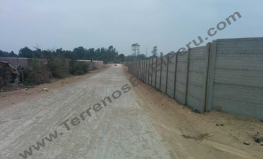 Terreno en Lurin de 6.35 Hectareas