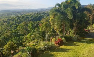 Pililla Rizal - Weekend property / Retreat House - 1 hectare lot with 2000 sqm residential - For sale