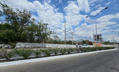 TERRENO EN ESQUINA EN LA ENTRADA DE IZAMAL