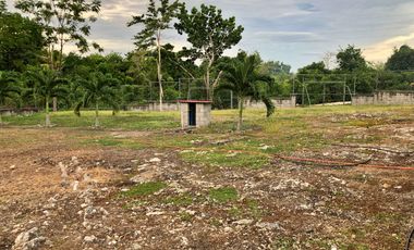 PROPERTY for Sale in Dauis Bohol -ideal for Rental Business