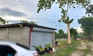 PROPERTY for Sale in Dauis Bohol -ideal for Rental Business