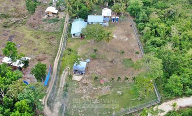 Lot for Sale in Dauis Bohol -ideal for Rental Business