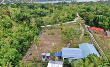 PROPERTY for Sale in Dauis Bohol -ideal for Rental Business