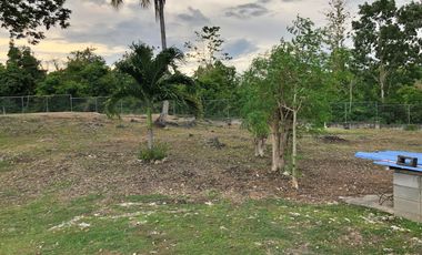 PROPERTY for Sale in Dauis Bohol -ideal for Rental Business