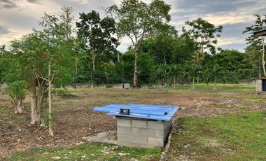PROPERTY for Sale in Dauis Bohol -ideal for Rental Business
